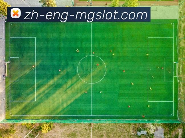 MG电子官网平台生态图